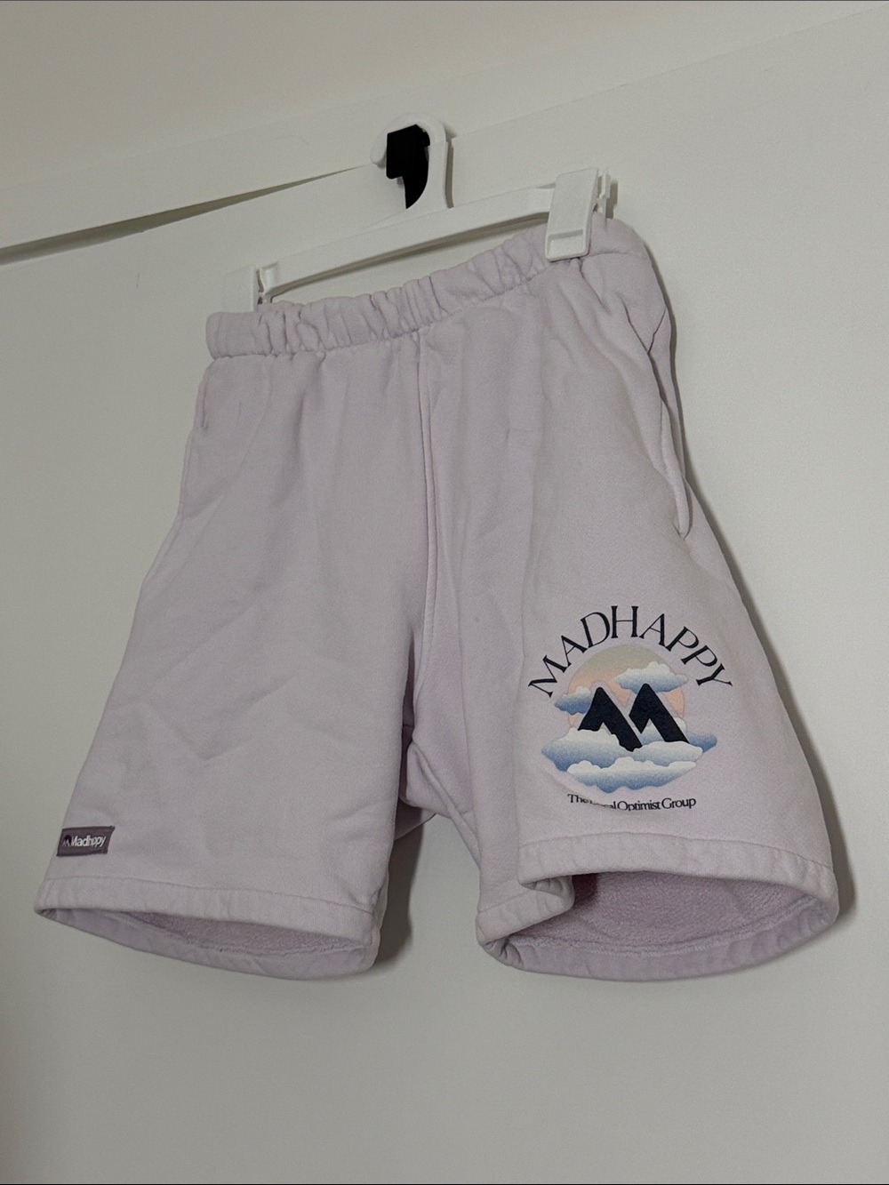 Madhappy Lilac Graphic Fleece Shorts with Mountain Logo